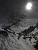 Das Mondlicht glitzert im Schnee und wirft kräftige Schatten