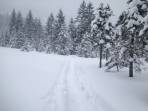 Tief verschneite Winterlandschaft auf 1100m
