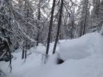 Genug Schnee auch im Wald