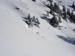 ... und trotzdem kam es zu einer Fernauslösung (Schifahrer blieb etwa 10m oberhalb der Baumgruppe stehen) eines Schneebretts. ~1750m SW