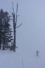 versinken im Nebel (ca. 4km bis zu Appelhaus)
die einzige Skimarkierung die wir sehen werden :-(
