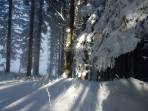 In den Walddurchfahrten noch ausreichend Schnee