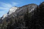 Der wohl beste Winteraufstieg vom Kastenriegel auf die Graualm durch die markante Rinne zwischen Heilstein und Almriegel