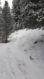 Sogar im Wald genug Schnee