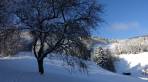 Winter-Überraschung in tiefen Lagen von Niederösterreich