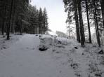 Schneemenge im Waldbereich unterhalb des Steinbruch.