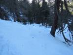 Genug Schnee im Wald >1600m